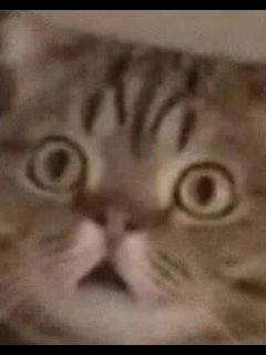 ֱ�����������ֱ��ʲô��ȫ������Ķ�