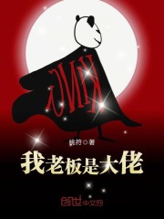 �׸��İ��¹����޻�����ȫ������Ķ�