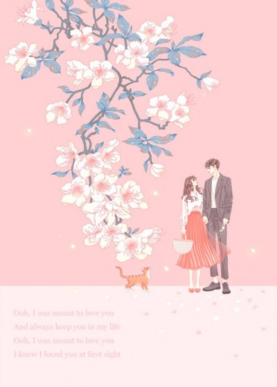 �ң����۵��ӣ������޵�̩������ȫ������Ķ�