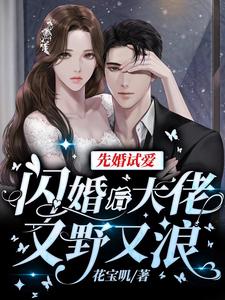 先婚试爱:闪婚后大佬又野又浪全文免费阅读