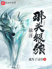 �����Ԫ������ȫ������Ķ�