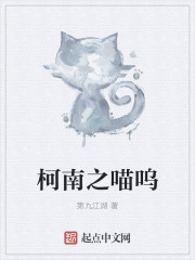 ����֮�������Ż�����ȫ������Ķ�