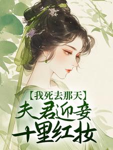 我死去那天,夫君迎妾十里红妆全文免费阅读