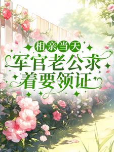 相亲当天,军官老公求着要领证全文免费阅读