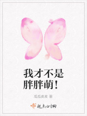 ���أ��嵤�ǵ��װ����˹ȫ������Ķ�