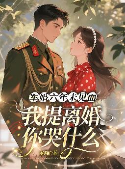 军婚六年未见面,我提离婚你哭什么全文免费阅读