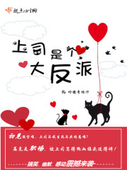 hp:救世主但是不可饶恕咒仙人全文免费阅读