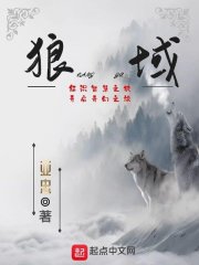 公路求生:冰封开局我靠玩偶躺赢全文免费阅读